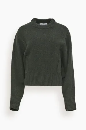 Alina Dolman Sweater in Deep Olive