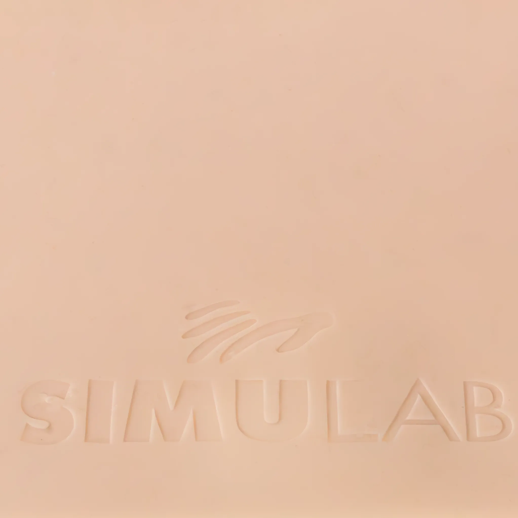 Obese Adult Lumbar Epidural Tissues